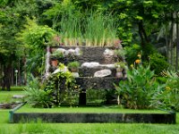 DSC 1019  Un jardin d'eau