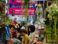 DSC 1880  Allée des fleuristes