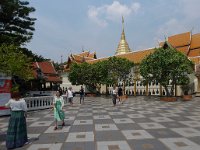 Vue du site. Au fond, alignement de cloches