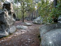 Blocs de grés, paysage typique le la forêt de Fontaignebleau