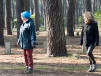 Aux champignons  Christine : J'ai cru entendre des sangliers, t'es sûre qu'on risque rien ? Françoise : mais non, ils ne sortent pas le jour !