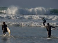 Sur la plage  Image bucolique
