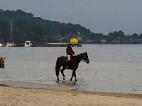 Autour du lac  Image bucolique