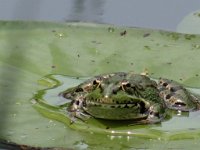 4A93962C-D02C-401B-8BA7-BC151F98D84A 1 105 c