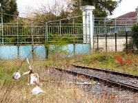 Les oasis de nature urbaine