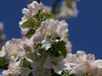 1540A8AF-4CCA-4845-8BCA-9C6BF2B484DE