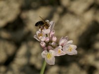 A12ED7BA-15AC-4611-AE94-36E7AAC2166D