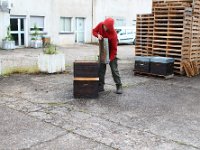 Apiculture en ville