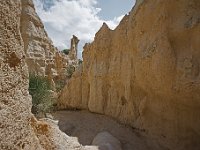 Au coeur des falaises