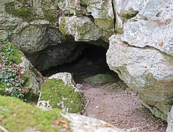 Entrée de la grotte sèche  L'entrée de la grotte sèche est située 5 à 6m au dessus de l'abri sous roche