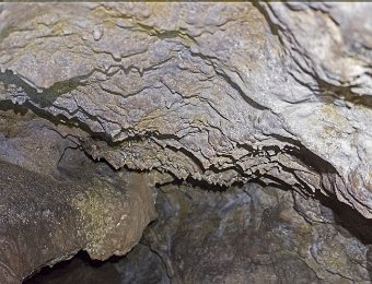Concrétions  La grotte a été creusée par le ruisseau dans un banc de calcaire situé entre 2 couches imperméables, ce qui peut expliquer l'absence de concrétions