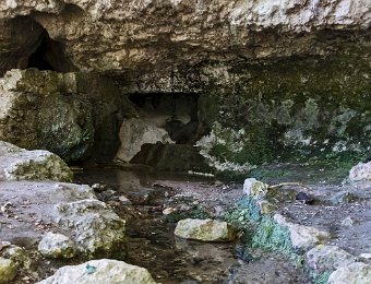 L'écoulement du ruisseau vers la Gardonnette  Le ruisseau se jette dans la Gardonnette à 200m de la résurgence