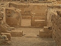 Polytthyron et crypte