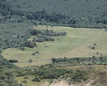 Mouton dans un paturage au pied des volcans