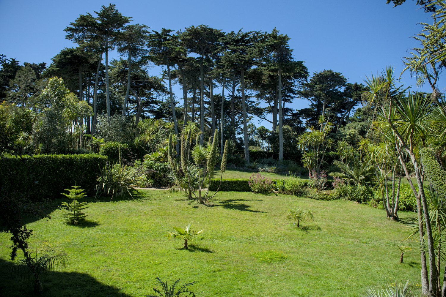 Vue sur les espaces du jardin