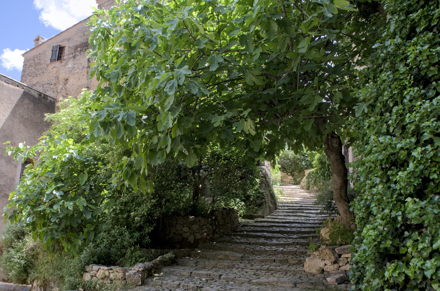 Accès à la falaise de tuf