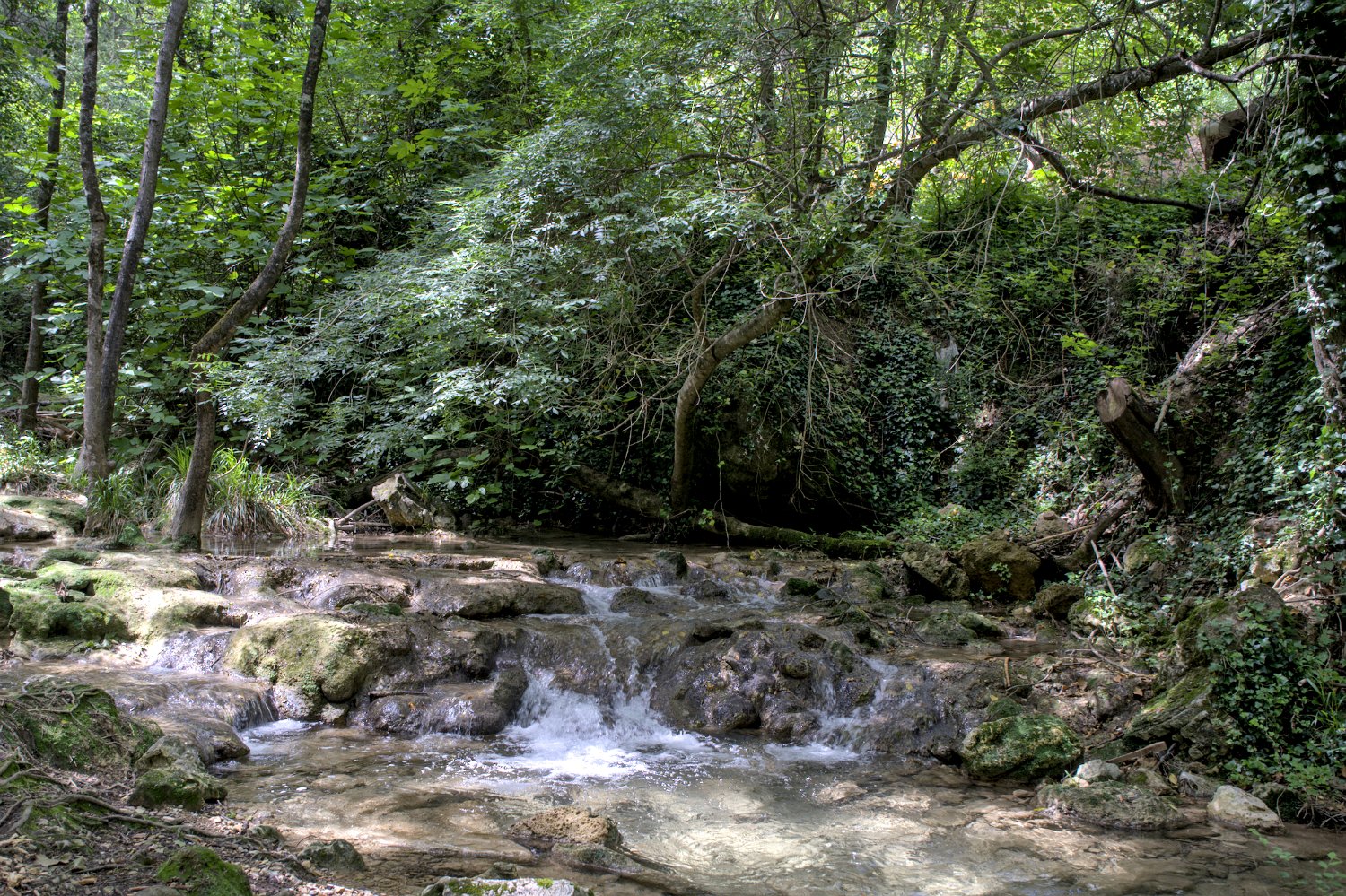 Rivière la Cassole en bordure du village