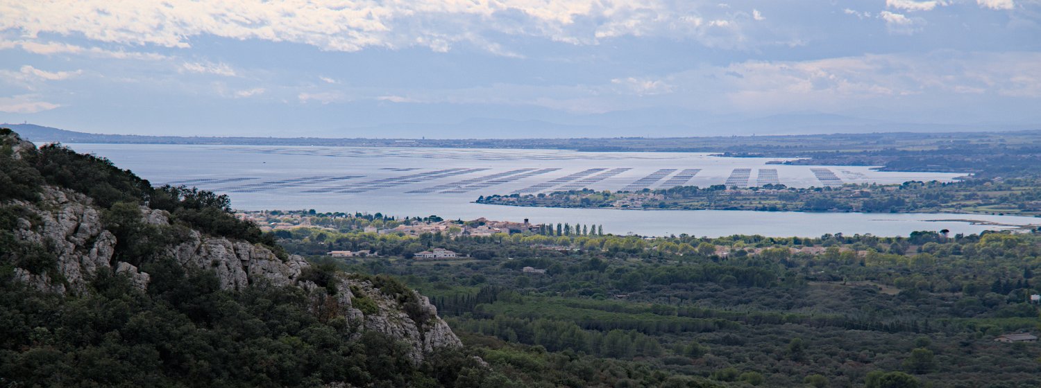 Vue sur l'étang de Thau