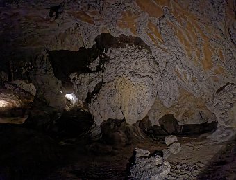 Galerie de la mamelle - Chou fleur