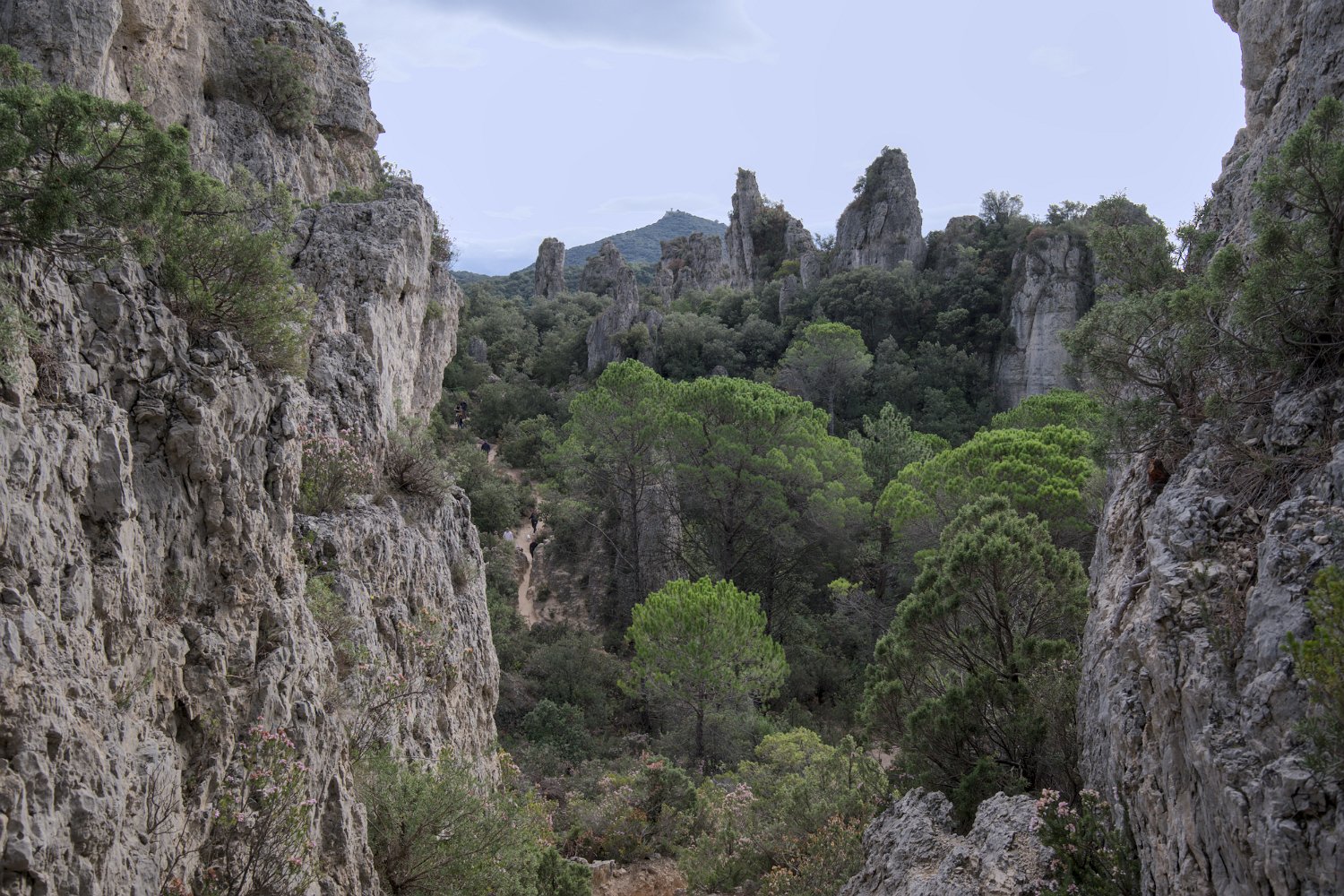 Le sentier de randonnée