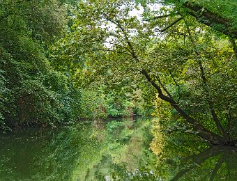 Paysage sur la Baïse