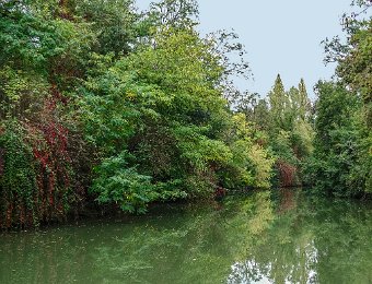 Paysage sur la Baïse