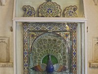 Zenana Mahal - Un des paons