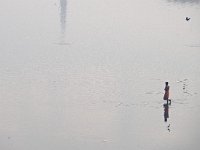 Prière dans la rivière Yamuna