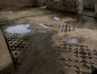 Maison du cryptoportique- Vestiges dallage du sol en mosaïque d'une pièce