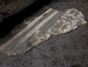 Maison romaine du cryptoportique- Vestiges de mosaïque