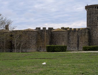 Château médiéval d'Abbadia  Le château d'Abbadia héberge le musée où sont déposés la plupart des oblets découverts sur le site de Vulci