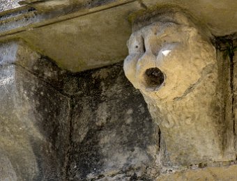 Gargouille sur la façade d'entrée
