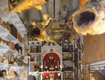 Cabinet des curiosités