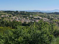 Vue du vignoble