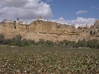 Arcos avec un champs de coton  Arcos de la Frontera se situe sur une colline surplombant une gorge de la rivière Guadalete.
