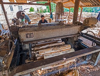 Prépartion des grumes