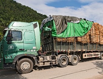 Expédition du bois déroulé séché