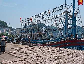Bateau de pêche aux calmars (lamparo)