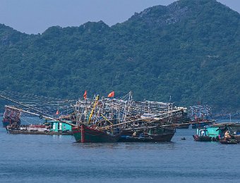 Bateau de pêche aux calmars (lamparo)