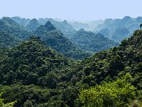 Forêt tropicale dans le parc national