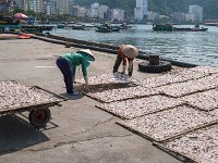 Disposition des claies sur le quai du port