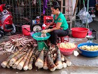 Pousses de bambous (géants)