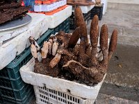 Champignon local non identifié