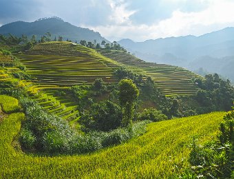  Toutes les surfaces disponibles sont exploitées...