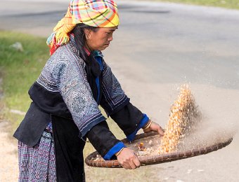  Femme nettoyant du maïs